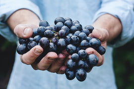 Unleashing the Potential of Resveratrol: The Vital Supplement for Optimal Health